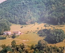 Cascina immersa nel bosco