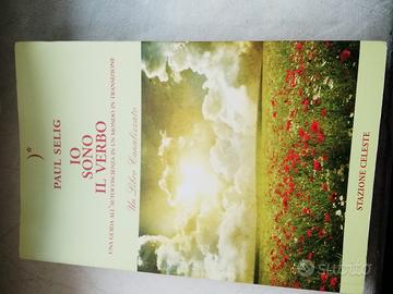 Io sono il verbo Paul Selig