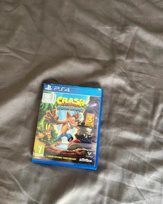 Crash bandicoot