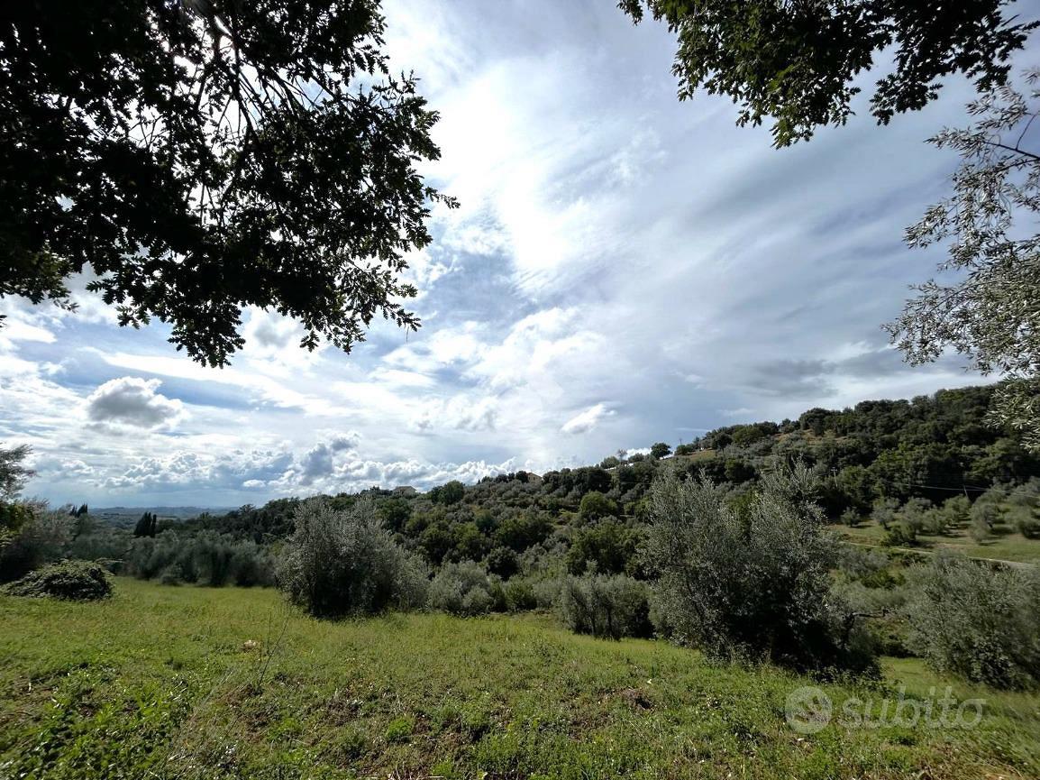 TER. AGRICOLO A TORRI IN SABINA - Altro
