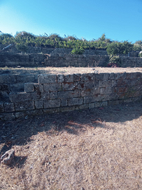 Terreno con indice di edificabilità agricola