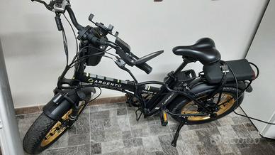 bicicletta elettrica 