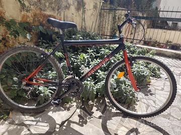 Bicicletta MTB ruota 26.
