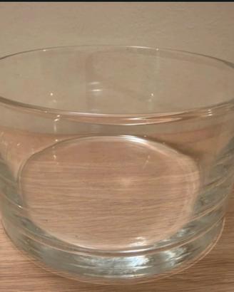 Bowl di vetro trasparente