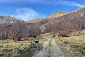 TER. AGRICOLO A VIÙ