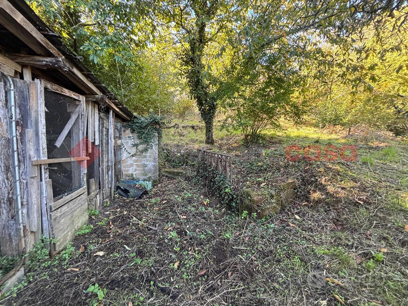 Terreno Agricolo Sgurgola [Cod. rif 3266439VCG] - Vista 4