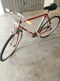 Bici da uomo
