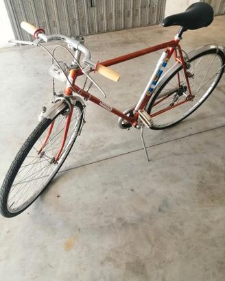 Bici da uomo