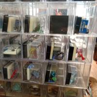 Fossili pietre minerali