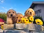 Immagine 1