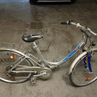 BICICLETTA TECNOBIKE