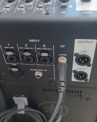 Sistema a colonna Yamaha Stagepas 1k mkll cassa au
