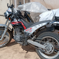 Beta Alp 200
