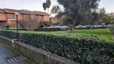Appartamento con giardino Ponte Galeria treno FL1