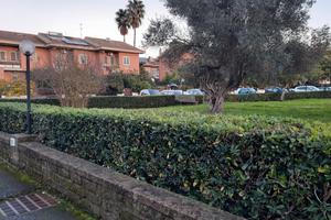 Appartamento con giardino Ponte Galeria treno FL1