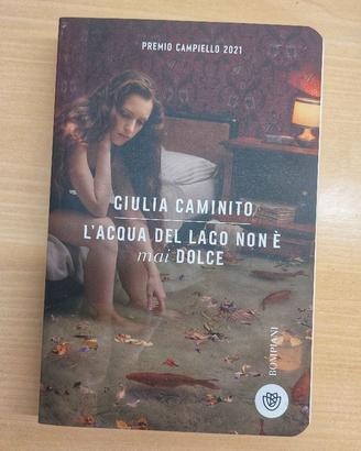 Libro: L'acqua del lago non è mai dolce