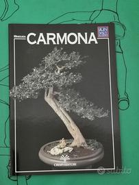 Miniguida Bonsai Carmona