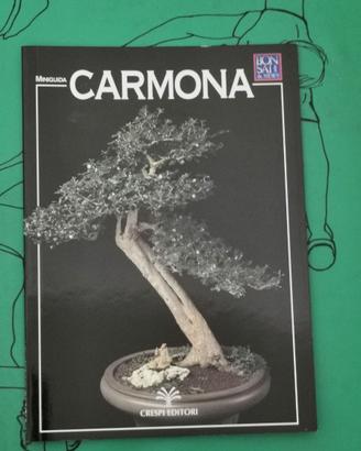 Miniguida Bonsai Carmona