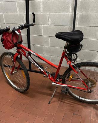 Mountain bike