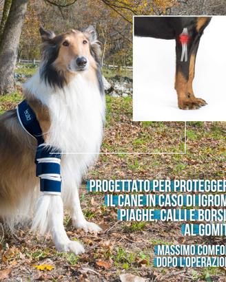 tutore gomito dx balto bt soft