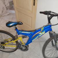 Bicicletta ragazzo 26