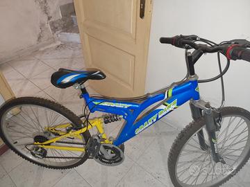 Bicicletta ragazzo 26