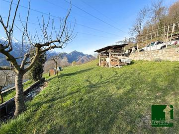 PANORAMICO TERRENO AGRICOLO