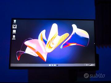 monitor gaming portatile 