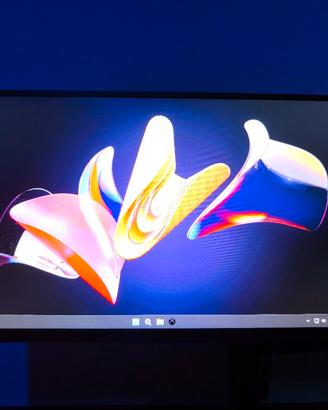 monitor gaming portatile 