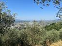 ter-agricolo-a-uzzano