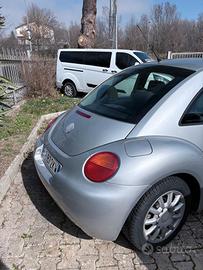 New beetle neo patentati