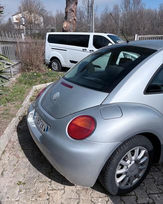 New beetle neo patentati