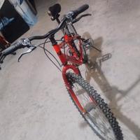 Mountain bike
