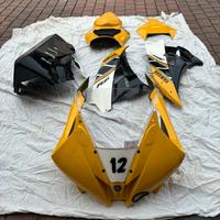 Carene in vetro resina