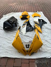 Carene in vetro resina