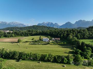 Casa e terreni fra Belluno e Sedico