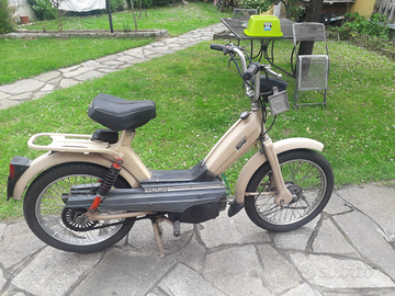 Motorino Califfo Gio Moto e Scooter In vendita a Torino