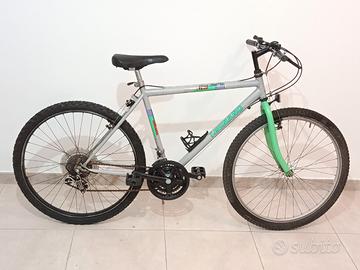 bicicletta colore grigio verde 
