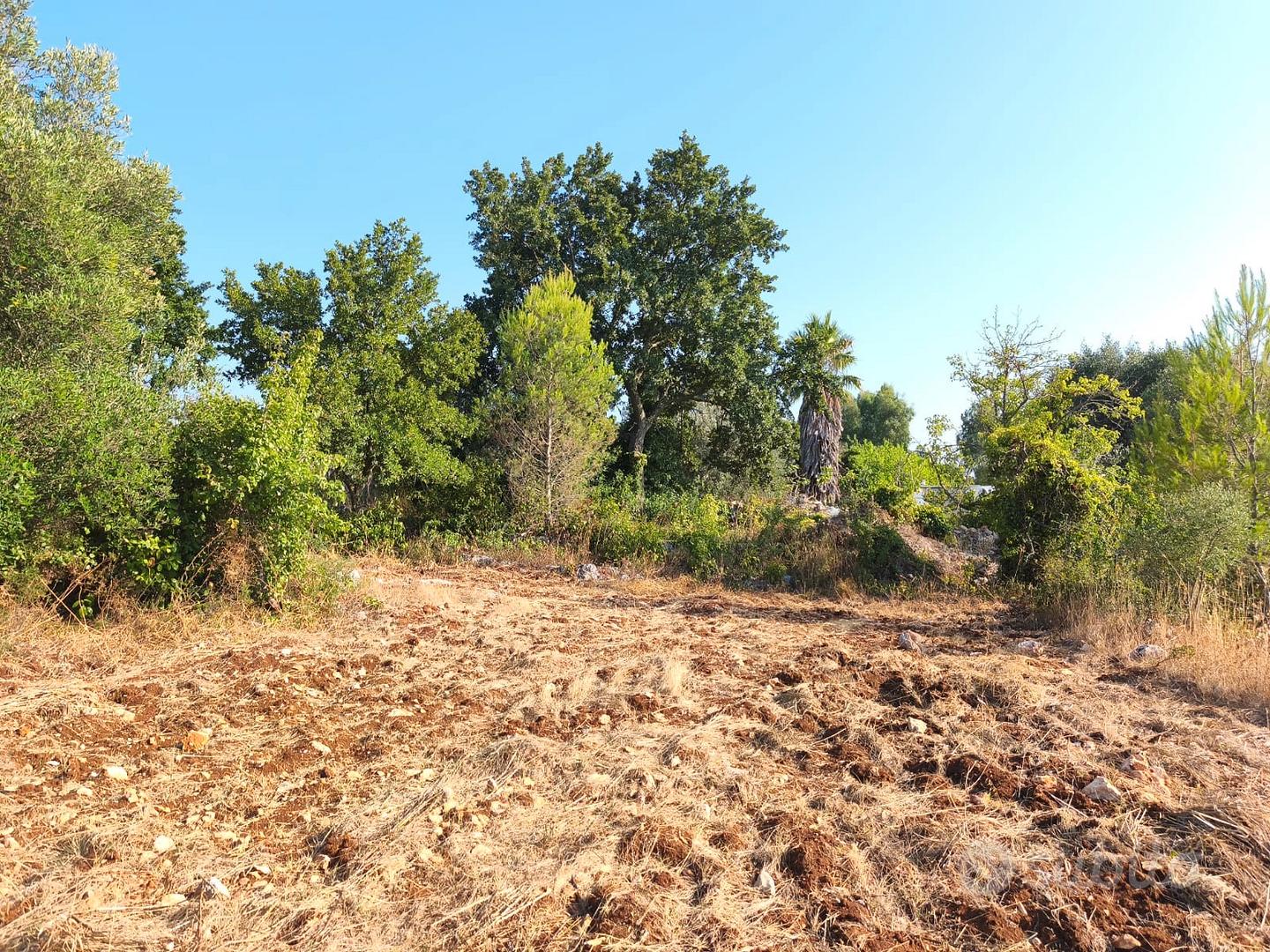Terreno 4.700m² edificabile. Ceglie Messapica (BR) - Altro