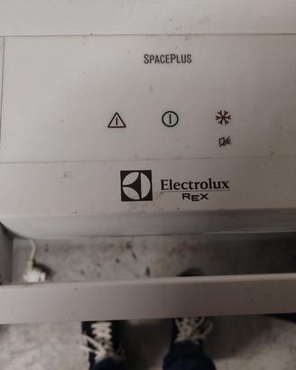congelatore Rex Electrolux 210 lt