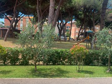 Mare a Marina di Grosseto