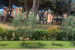 Mare a Marina di Grosseto