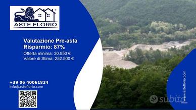 Immobile in asta di 147566 m² a Castellarano