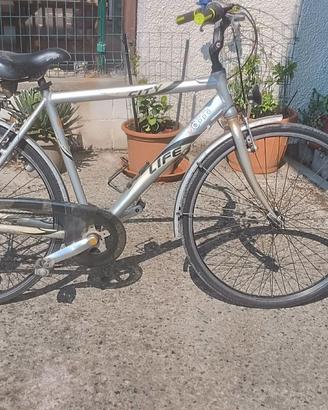 Biciclette uomo donna