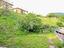 Immagine 11