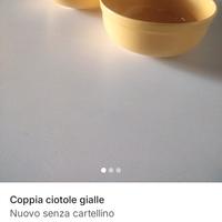 coppia ciotole