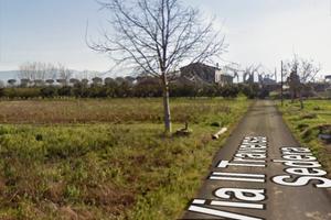 Terra agricola a Santi Cosma e Damiano