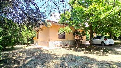 CASA INDIPENDENTE A PALIANO