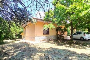 CASA INDIPENDENTE A PALIANO