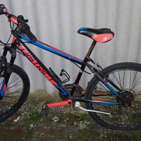 bicicletta